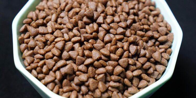 Top Choices of Cat Food for Sensitive Stomachs