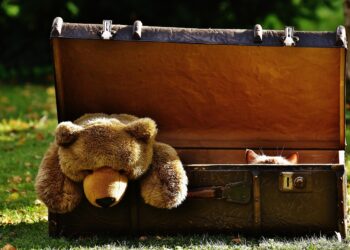 Interactive Cat Water Toys for Endless Fun