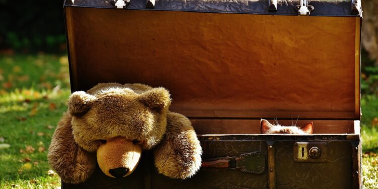 Interactive Cat Water Toys for Endless Fun