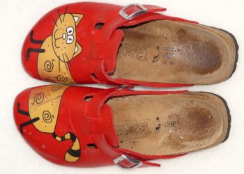 Chic Whiskers: Where Style Meets Comfort in Cat Apparel