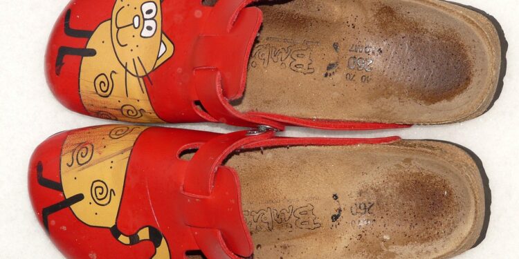 Chic Whiskers: Where Style Meets Comfort in Cat Apparel