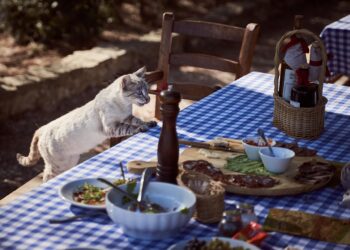 Safe Snacks and Toxic Treats: What Cats Can and Cannot Eat