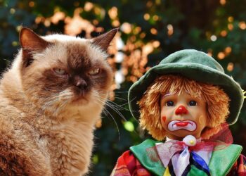 Engaging Toys for Bored Cats: Unleash the Fun