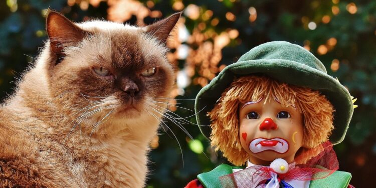 Engaging Toys for Bored Cats: Unleash the Fun