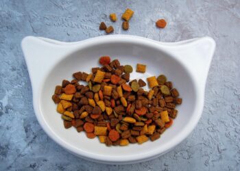 Safe Sharing: Common Foods Cats Can Enjoy With Their Human Companions