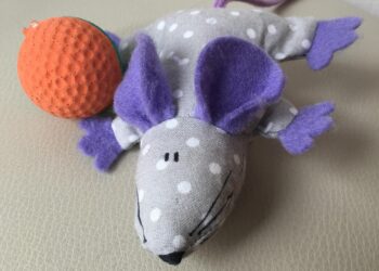 Secrets to Choosing the Perfect Cuddly Companion for Your Feline