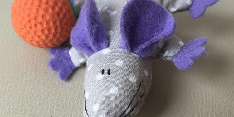 Secrets to Choosing the Perfect Cuddly Companion for Your Feline