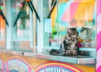 Exploring Feline Diets: Safe Alternatives and Tasty Treats for Cats Beyond Commercial Food