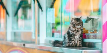 Exploring Feline Diets: Safe Alternatives and Tasty Treats for Cats Beyond Commercial Food