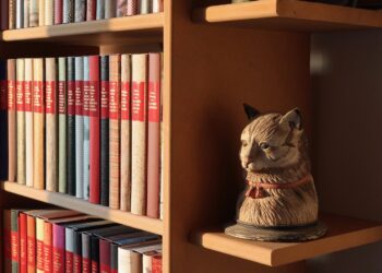 Unveiling the Mystery:How Vaccinations Influence Cat Behavior