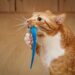 Whiskers at Play: Exploring the Dynamics between Cats and Balls