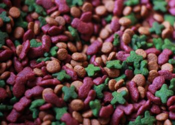 Soothing the Sensitive: Top Picks for Cat Food that Combats Stomach and Skin Allergies