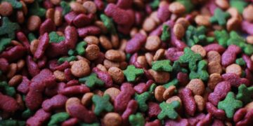 Soothing the Sensitive: Top Picks for Cat Food that Combats Stomach and Skin Allergies