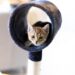Unveiling the Magic: Exploring the Double Delight of Cat Toy Ball-in-a-Ball