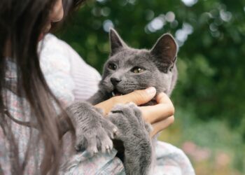 Understanding Cat Behavior Issues